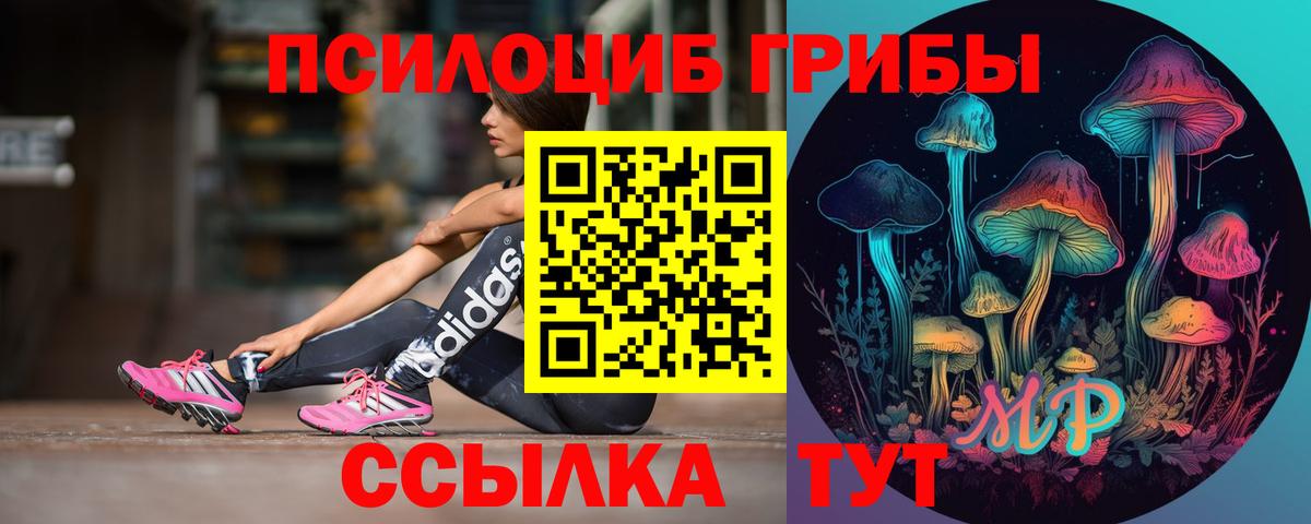 Галлюциногенные грибы GOLDEN TEACHER Гай