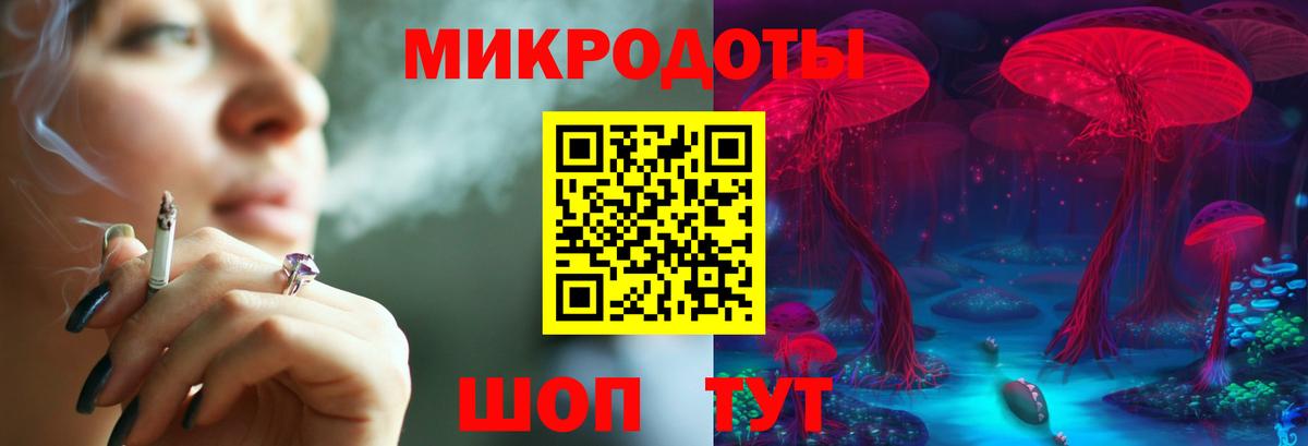 Гай  Галлюциногенные грибы ЛСД  Галлюциногенные грибы прущие грибы  Вход с VPN 